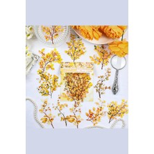 Kolbi Craft 20 Adet Şeffaf Sarı Yaprak Dal Sticker Bullet Journal Scrapbook Laptop Ajanda Planlayıcı