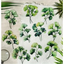 Kolbi Craft 20 Adet Şeffaf Ginkgo Yaprak Sticker Seti Bullet Journal Scrapbook Şeffaf Sticker Laptop Ajanda
