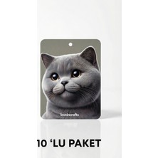 Loveincrafts 10'lu Paket Oto Araç Kokusu British Shorthair - Vanilya Kokulu
