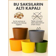 5 Adet Renkli Kırılmaz Plastik Saksı Seti | Tabaksız Kullanım | 1,8 Litre | Ev&salon Için