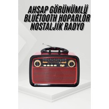 Argesco Mühendislik Nostalji Radyo Bluetooth Hoparlör Usb-Sd Kart Giriş LED Fener Işıklı Bataryalı Pilli