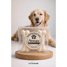 Petscape Taze Paketlenmiş Diş Kaşıyıcı Köpek Ödülü Beyaz Diş Sağlığı Çiğneme Kemiği 7 cm