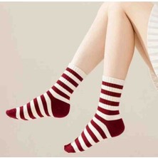 Leovia 3 Lü Fiyonk Desenli Bordo Kolej Çorabı