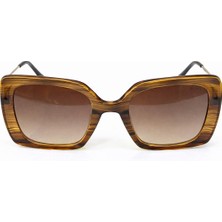 Us Polo Assn Kadın Güneş Gözlüğü