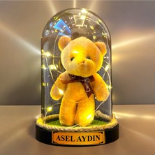 Özbience Yılbaşı Temalı Kahve Ayıcık ve Renkli LED Işıklı Kardan Adam Fanus Seti