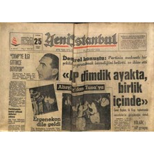 Özbience 25 Nisan 1965 Istanbul Gazetesi, Ergenekon ve Alparslan Türkeş Detayları