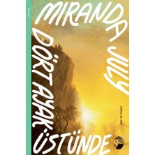 SHC4200 Dört Ayak Üstünde