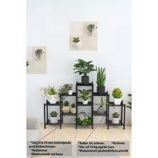 Dekozum Yasemin 11 Raflı Merdiven Metal Çiçeklik Saksılık Saksı Standı Dekoratif Saksılık Raf