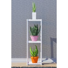 Dekozum Işıl 3 Raflı Dekoratif Çiçeklik Saksı Standı