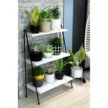 Dekozum Tiffany Saksı Standı, 3 Katlı Saksı Standı, Ahşap Saksılık, 3 Katlı Ahşap Saksılık Beyaz