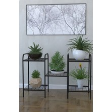 Dekozum 5 Raflı Dekoratif Amaçlı Metal Ayaklı Saksı Standı Saksılık Çiçeklik - Siyah