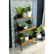 Dekozum Tiffany Saksı Standı, 3 Katlı Saksı Standı, Ahşap Saksılık, 3 Katlı Ahşap Saksılık Atlantik Çam