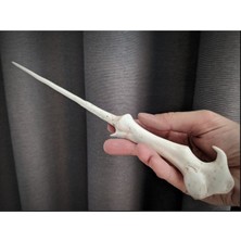 Özbience Büyülü Güçler: Woldemort Asasıyla Sihirli Maceralar