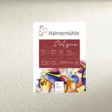 Hahnemühle D Aqua Sulu Boya Blok Rough 220G 30X40CM 30 Yaprak 10 628 342