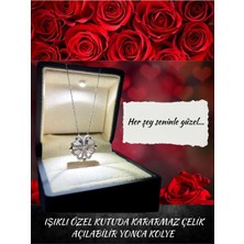 Özbience Işıklı Özel Hediye Kutusunda Dört Yapraklı Yonca Kolye Seti