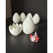 Özbience 3D Axolotl Sürpriz Yumurtası ve Boyanabilir Anahtarlık Seti