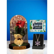 Özbience Peluş Ayıcıklı LED Işıklı Güllü Fanus ve Ametist Taşlı Lotus Kolye