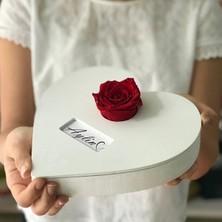 Özbience Beyaz Ahşap Kalp Içinde Kırmızı Solmayan Gül Büyük Boy 1 Adet