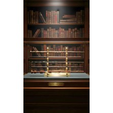 Lemonade Concept Harry Potter 5'li Asa Seti - Metal Destekli Kırılmaz Yapı - Mermer Tozu & Reçine - Özel Standlı