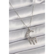 Skygo 316L Çelik Gümüş Renk Zincir Zirkon Taşlı Hilal Model Sallantı Yaprak Detay Kadın Kolye - TJ-BKO9651