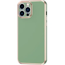 Royal Case iPhone 12 Pro Max Kılıf Parlak Renkli ve Esnek Silikon Kapak Ryc/bark