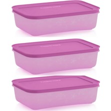 Özbience Yatay Mor Saklama Kabı Seti 3’lü, Buzdolabı Düzeni Için, Pratik ve Şık