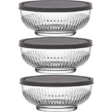 Özbience Gri Kapaklı 3'lü Saklama Kabı Seti, 880CC, Pratik ve Şık Tasarım