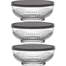 Özbience Pratik 3'lü Saklama Kabı Seti, 880CC, Şık ve Kullanışlı Mutfak Gereçleri