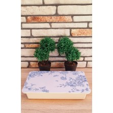 Özbience Renkli 6 Bölmeli Melamin Tepsili Kahvaltılık Seti