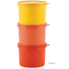 Özbience Sıkı Kapaklı Saklama Kapları, 1.1 Litre, 3'lü Set, Dayanıklı ve Pratik