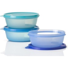 Özbience Pratik ve Şık Üçlü Saklama Kapları Seti, Mutfağınıza Renk Katın