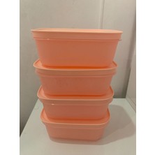Özbience Çoklu Derin Dondurucu ve Buzdolabı Saklama Kabı Seti, 450 ml x 4