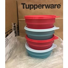 Özbience Pratik 4'lü 500 ml Saklama Kabı Seti, Sağlıklı ve Şık Depolama