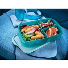 Özbience Pratik ve Sağlıklı Bölmeli Yemek Kabı, Çok Amaçlı ve Taşıması Kolay