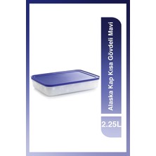 Özbience Mavi Kısa Gövdeli 2.25 Lt Buzluk Saklama Kabı, Pratik ve Şık Tasarım