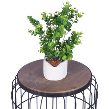 Yapay Çiçek Sitesi Beton Saksıda Yapay Bitkili Tanzimler Model 4