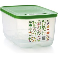 Özbience Pratik 4.4 Lt Seramik Sebze Meyve Saklama Kabı, Tazelik Korur