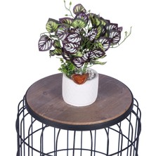 Yapay Çiçek Sitesi Beton Saksıda Yapay Bitkili Tanzimler Model 15