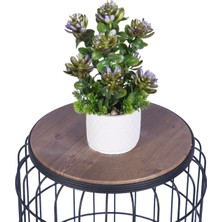 Yapay Çiçek Sitesi Beton Saksıda Yapay Bitkili Tanzimler Model 6