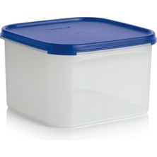 Özbience Şık ve Kullanışlı Oval Modüler Saklama Kabı 2.6 Lt, Pratik Depolama Çözümü