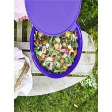 Özbience Aloha Kap 12L Morötesi, Şık ve Fonksiyonel E-Ticaret Ürün Başlığı