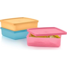 Özbience Eko Kare 3'lü Taşıma Kabı, Şeffaf ve Sağlam, Çok Amaçlı Kullanım