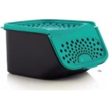 Özbience Mini Sarımsak Saklama Kabı, 2,3 Lt, Pratik ve Şık Mutfak Gereci