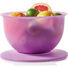 Özbience Lila 4.3 Litre Çok Amaçlı Saklama ve Karıştırma Kabı