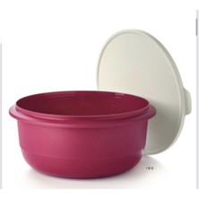 Özbience 6lt Fuşya Miksim Serisi Hazırlama ve Saklama Kabı