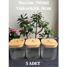 Özbience 3'lü Cam Kavanoz Seti, Bambu Kapaklı, Vakumlu, 750 Ml, Saklama Çözümü