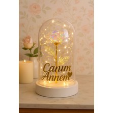 PremiumPort Yazılı Anneler Günü LED Işıklı Güllü Gece Lambası Dekorasyon