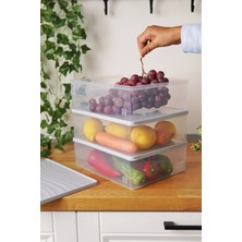 Özbience Mavi 3'lü Derin Dondurucu Saklama Kabı Seti, 15 Lt Toplam Kapasite