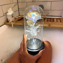 PremiumPort Renkli Galaxy Rüya Lambası, Işıklı Dekoratif Fanus, Sonsuzluk Gülü Tasarımı