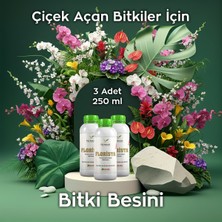 Ferment Tarım Ferment Florista Üçlü 250 ml (3 Adet) Tüm Çiçekli Salon Bitkileri Için Canlandırıcı,ve Çiçek Arttırıcı